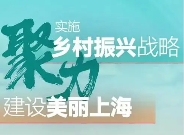上海市人民政府辦公廳印發(fā)《關于進一步促進新型農(nóng)村集體經(jīng)濟高質(zhì)量發(fā)展的若干措施》的通知