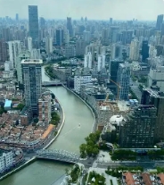 上海市人民政府辦公廳印發《上海市促進服務業創新發展若干措施》的通知